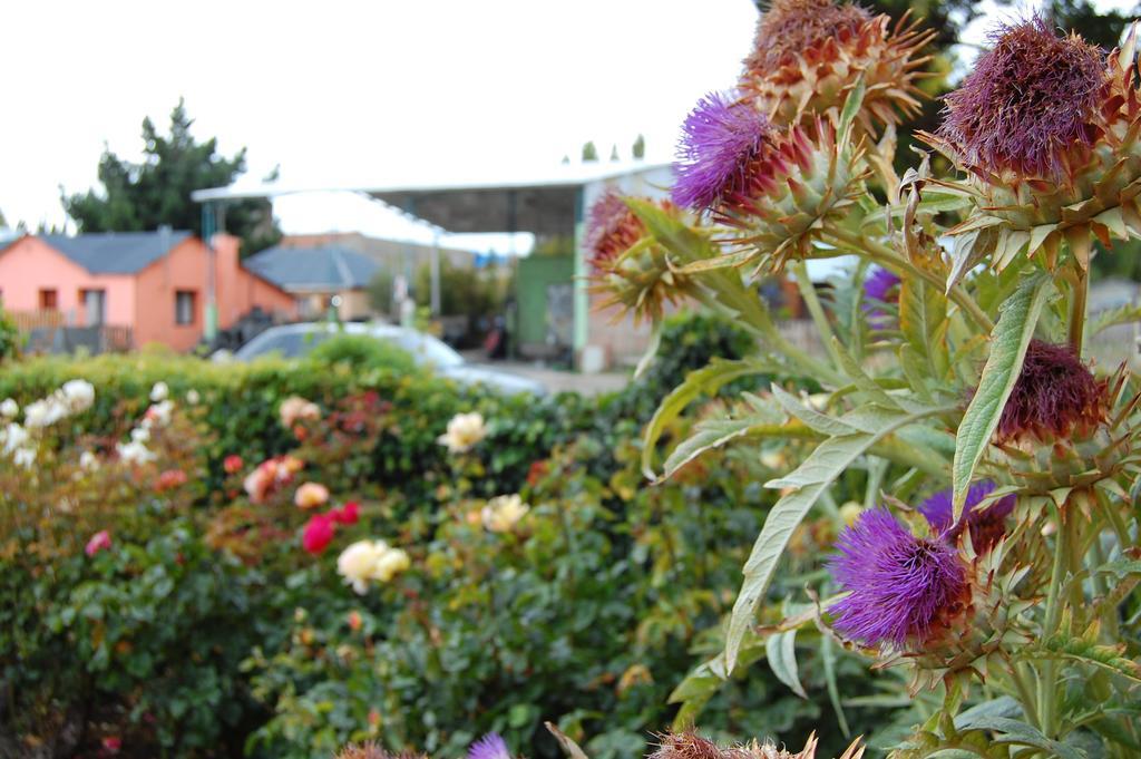 Calafate Viejo Hostel เอลกาลาฟาเต ภายนอก รูปภาพ