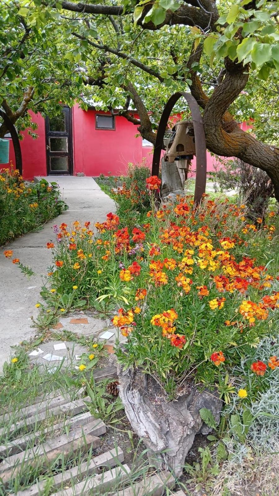 Calafate Viejo Hostel เอลกาลาฟาเต ภายนอก รูปภาพ